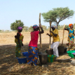 Ladies pounding the millet.  Senegal